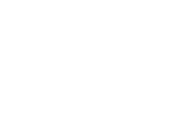 Deni Firdaus - Web & Mobile Developer Logo